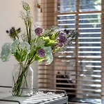 Glebe Cozy 2 Bedroom Stunning Terrace House / Ngl058