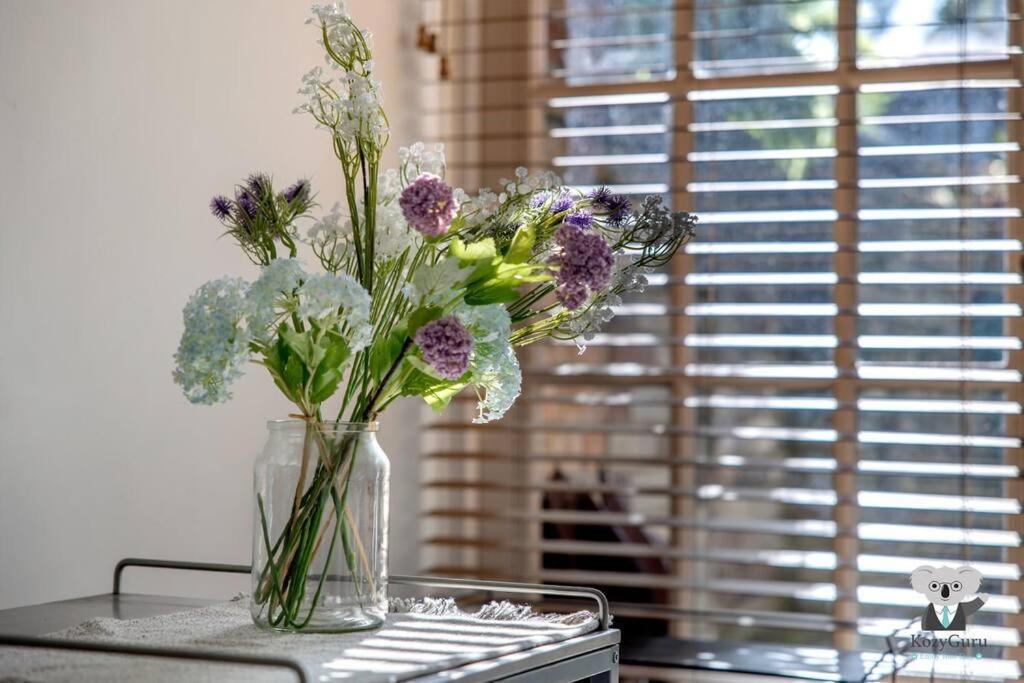 Glebe Cozy 2 Bedroom Stunning Terrace House / Ngl058 Sydney